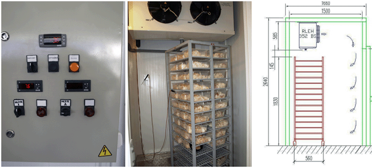 Блок холодильных камер быстрого охлаждения и хранения п/ф